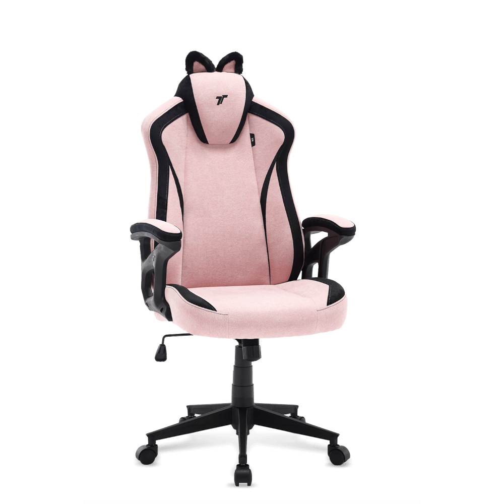 เก้าอี้เกมมิ่ง TTRacing Duo V4 ผ้า KittyPuff Edition